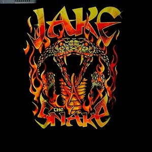 Pro wrestling tees Aew jake the snake roberts 2x tshirt